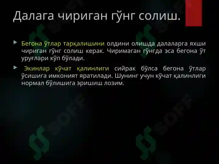 Product slide 5