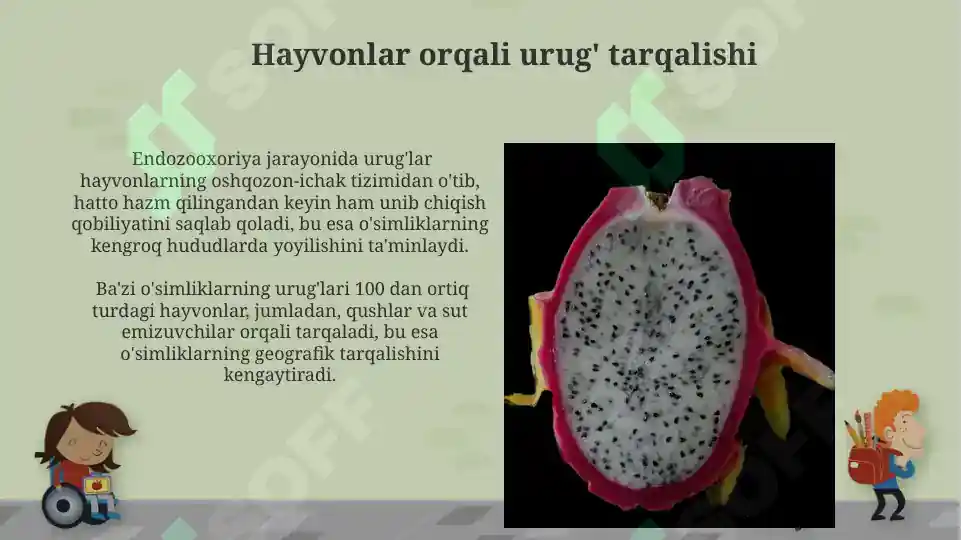 Product slide 7