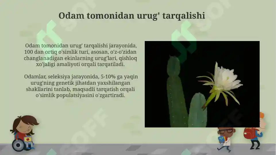 Product slide 8