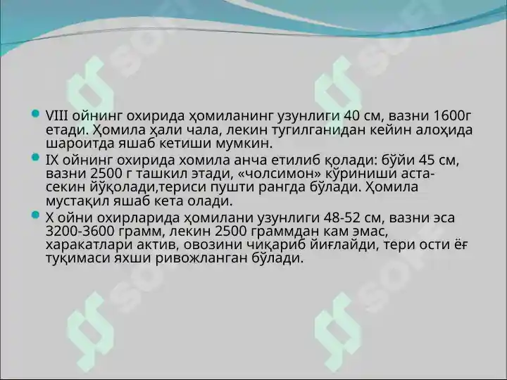 Product slide 7