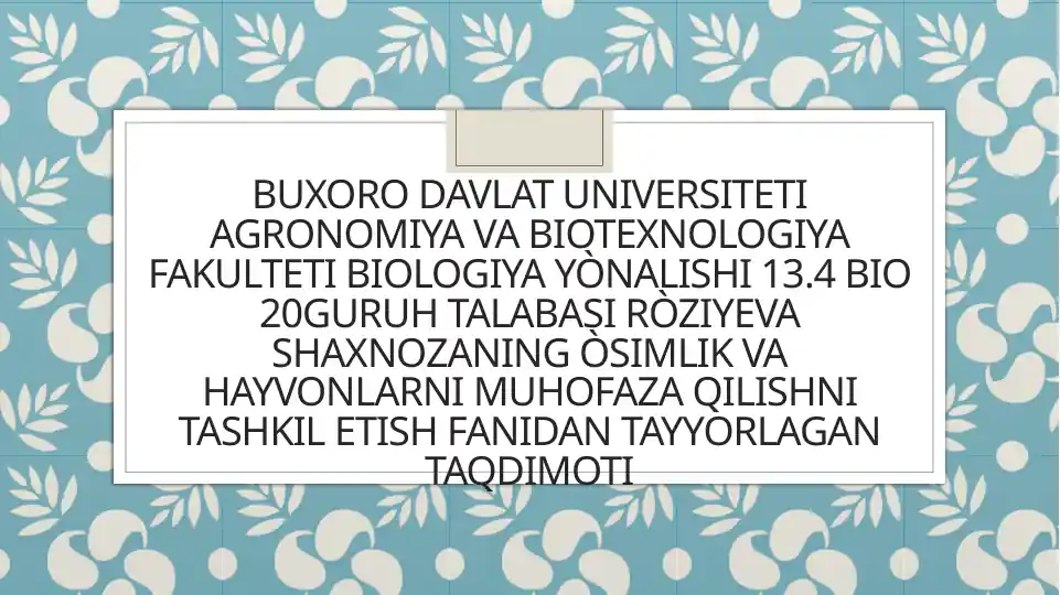 Product slide 1