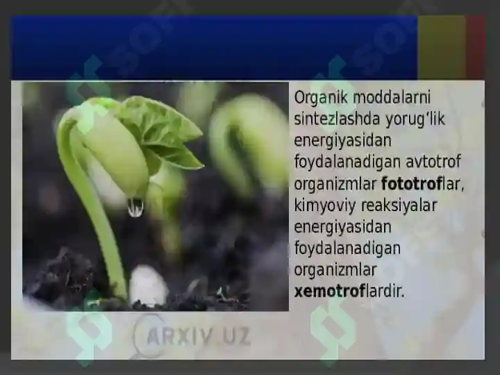 Product slide 6