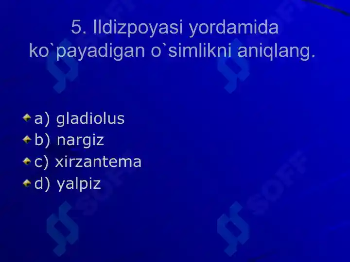 Product slide 6