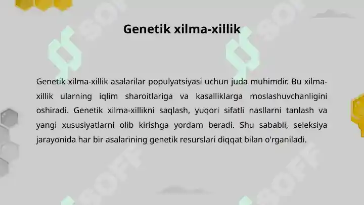 Product slide 6