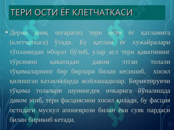 Product slide 8