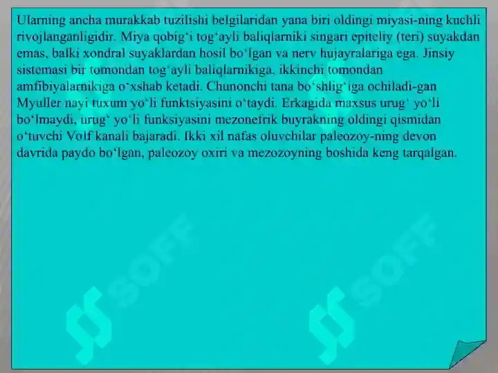 Product slide 5