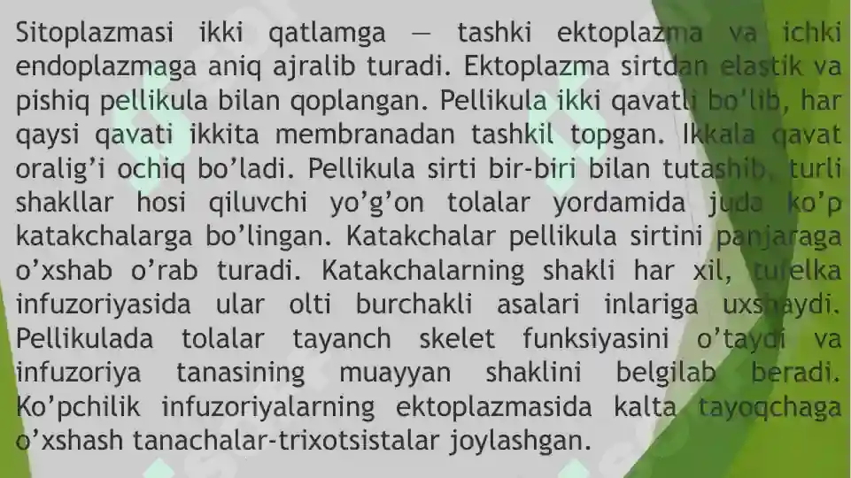 Product slide 6