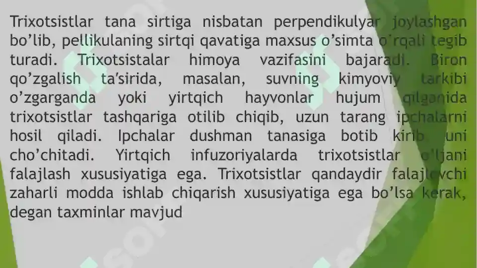 Product slide 7