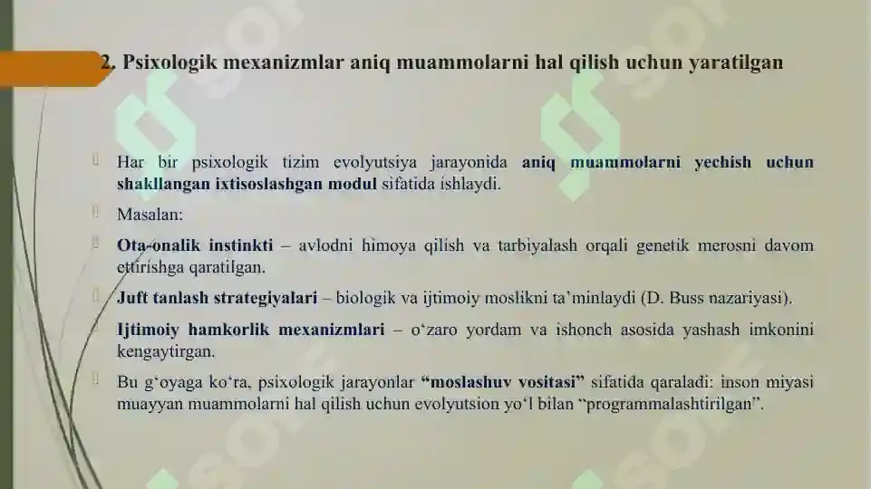 Product slide 7