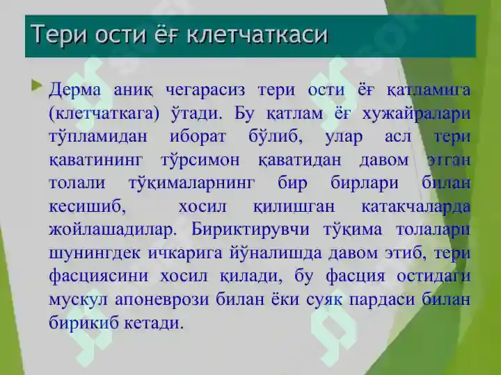 Product slide 8
