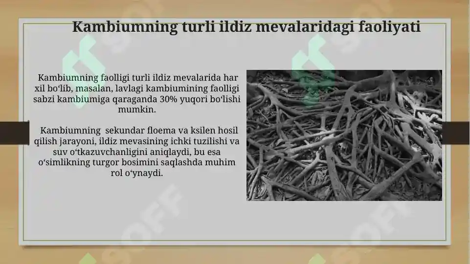 Product slide 5