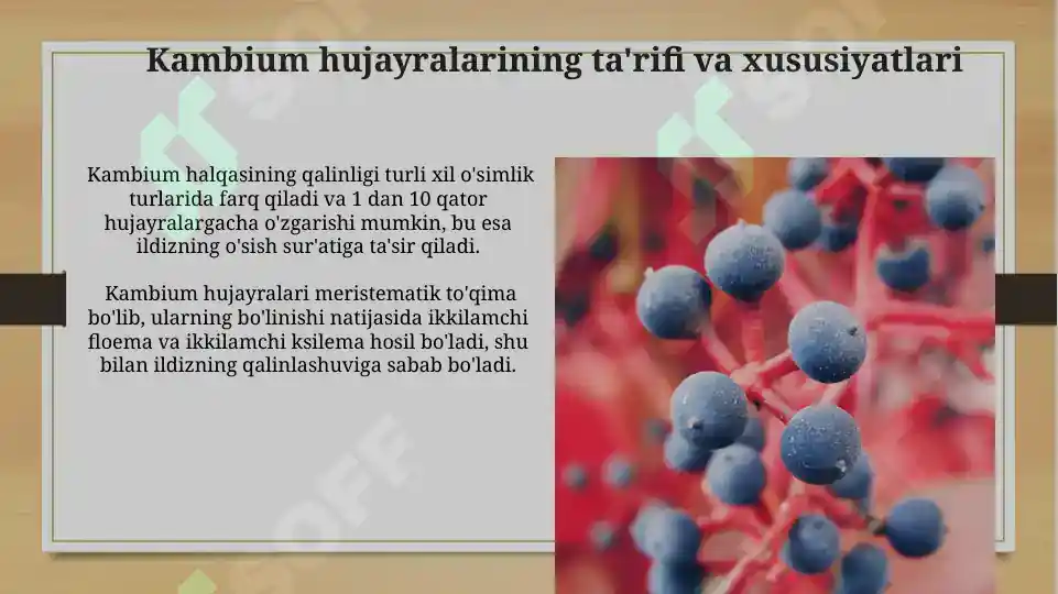 Product slide 6