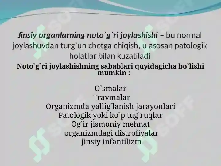 Product slide 6