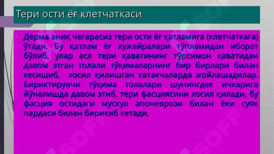 Product slide 7