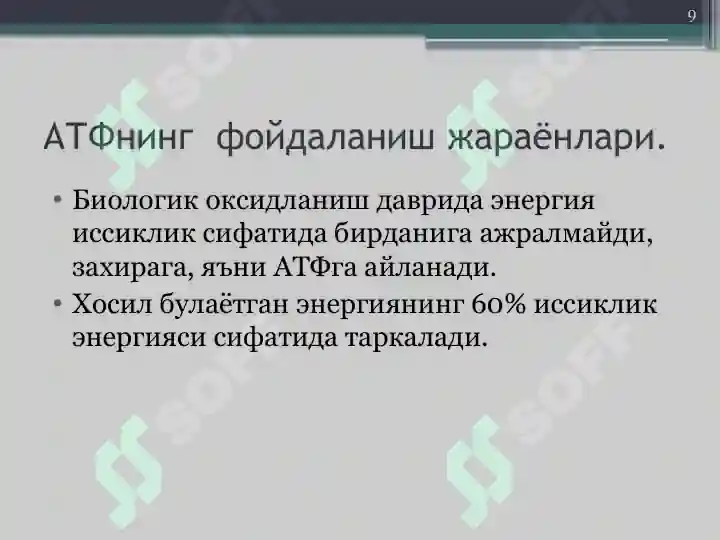 Product slide 8