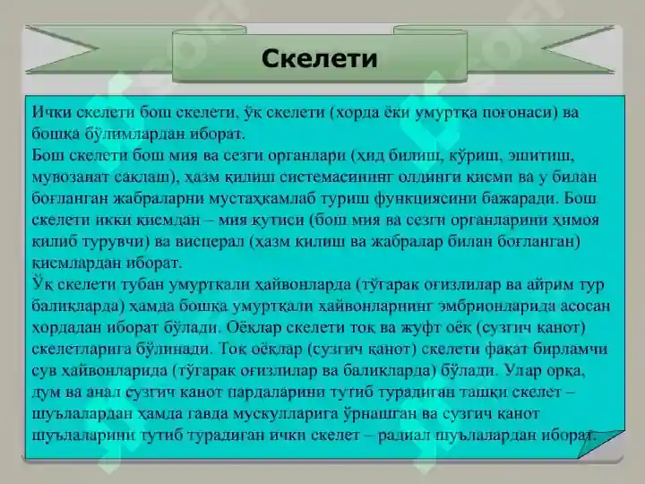 Product slide 7