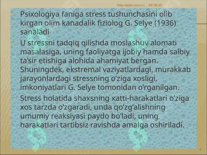 Product slide 6