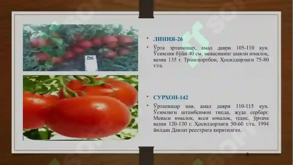 Product slide 8