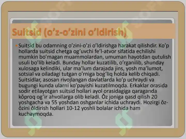 Product slide 8