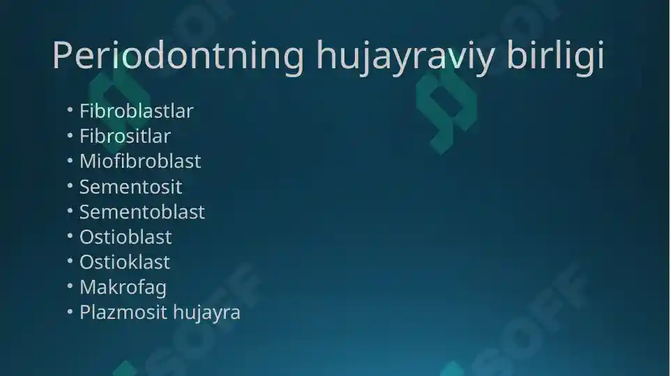 Product slide 5