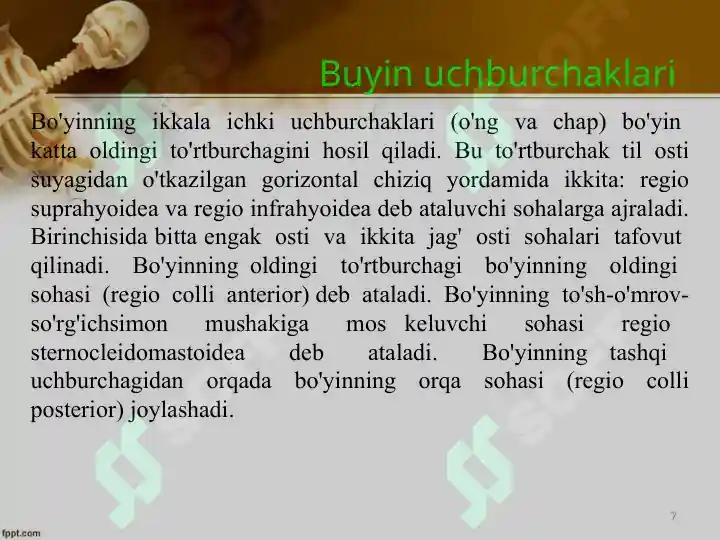 Product slide 7
