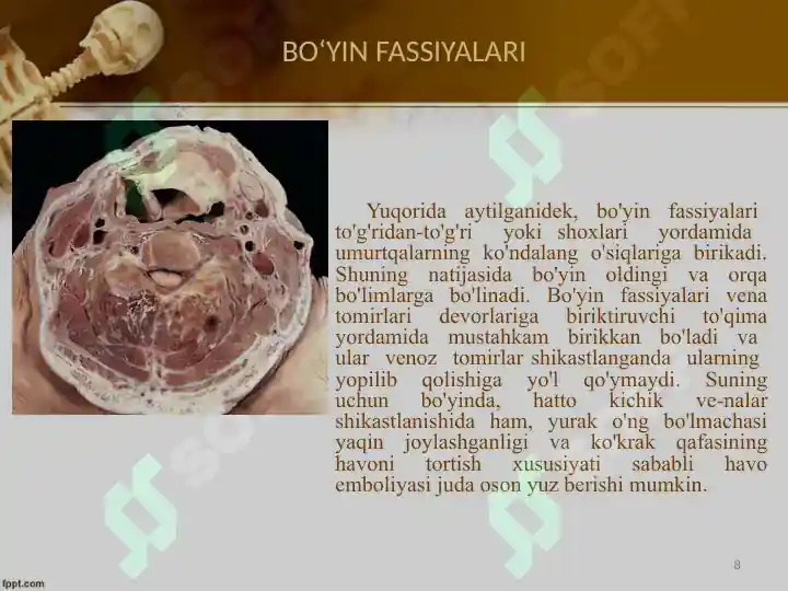 Product slide 8