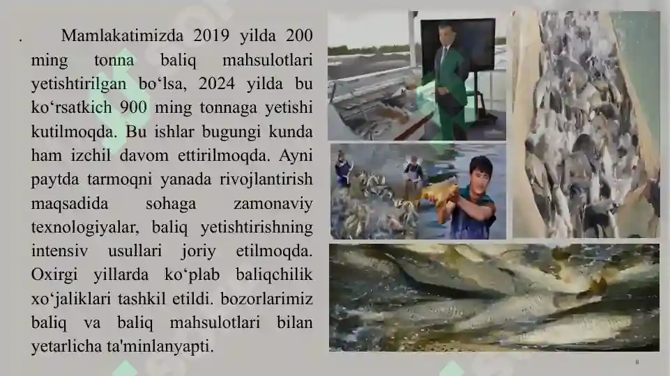Product slide 8