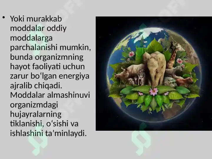 Product slide 8