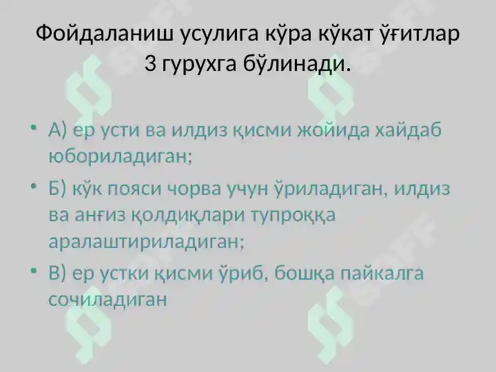 Product slide 6