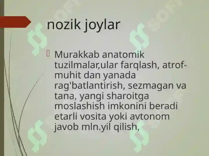 Product slide 5