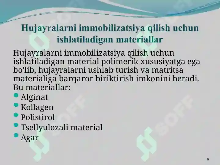 Product slide 6