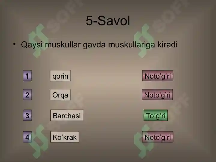 Product slide 7