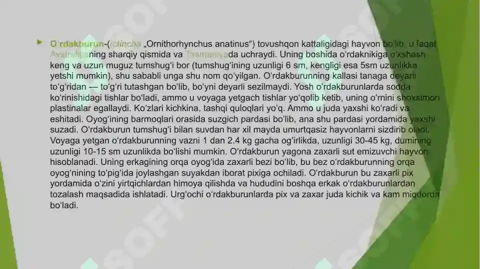 Product slide 6