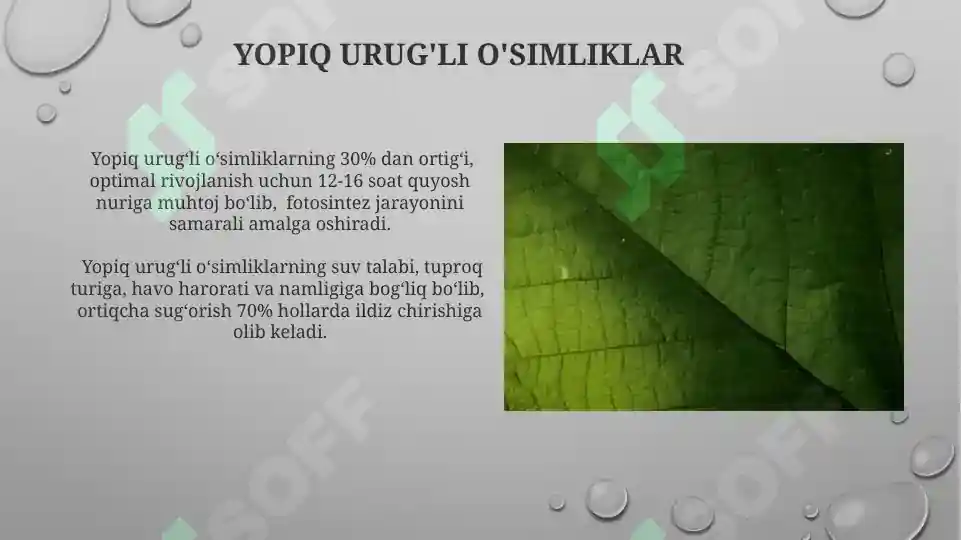 Product slide 8