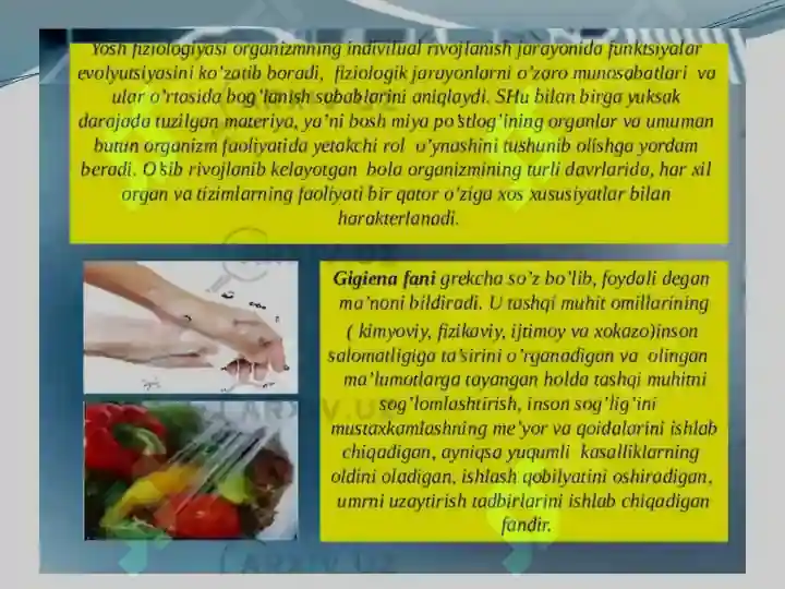 Product slide 6