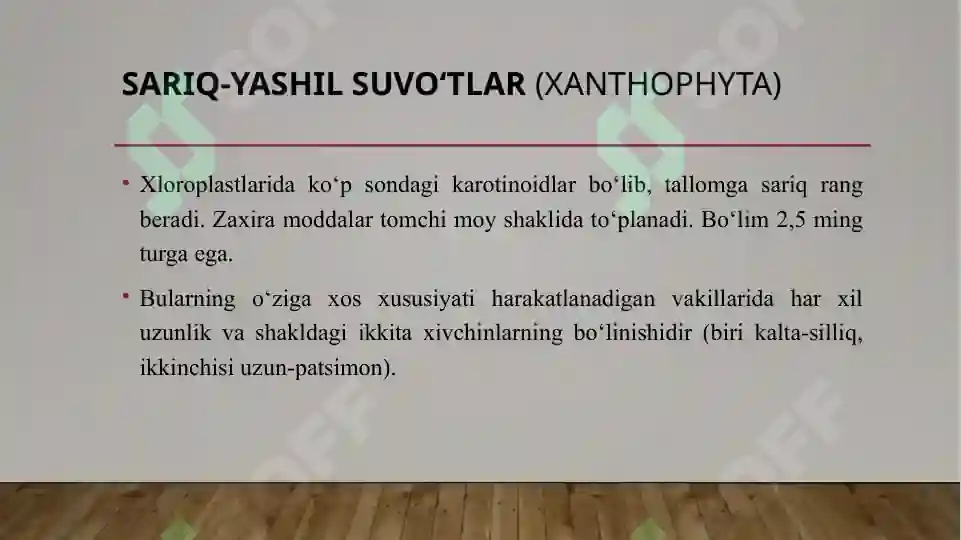 Product slide 5