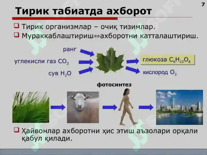 Product slide 7