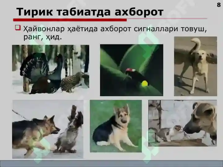 Product slide 8