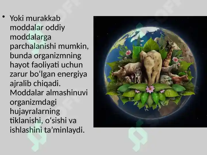 Product slide 8