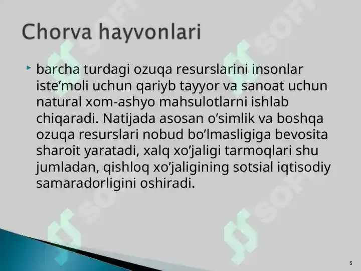 Product slide 5