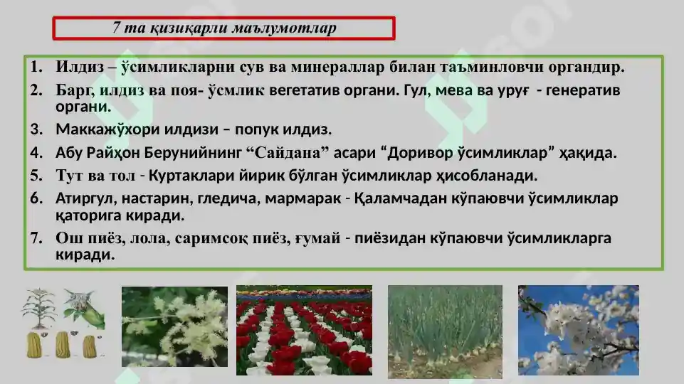 Product slide 5