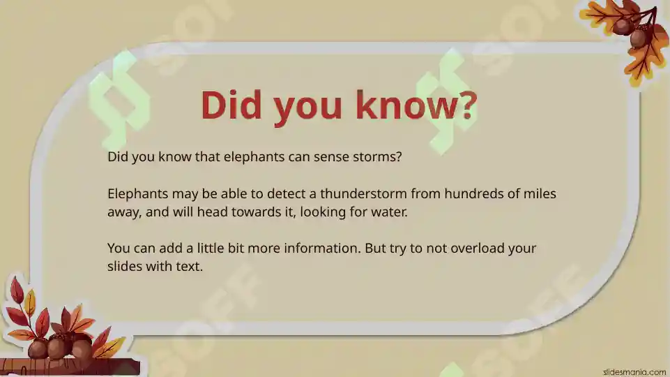 Product slide 6
