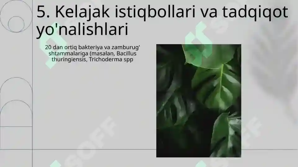 Product slide 7
