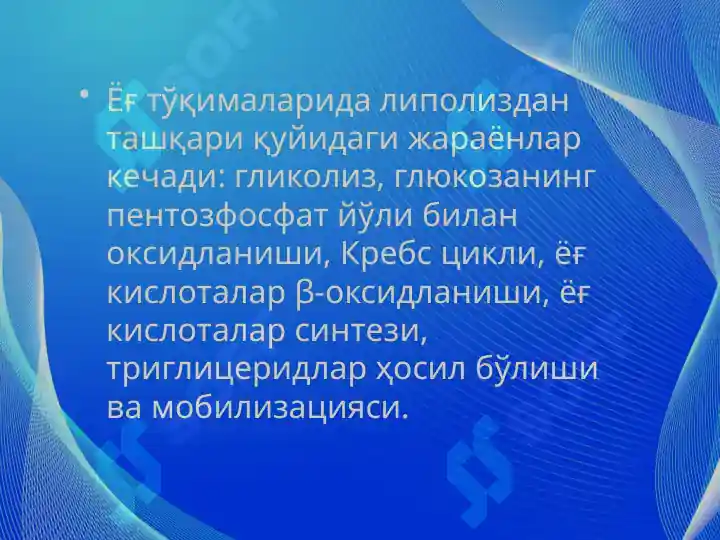 Product slide 7