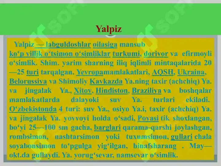 Product slide 6