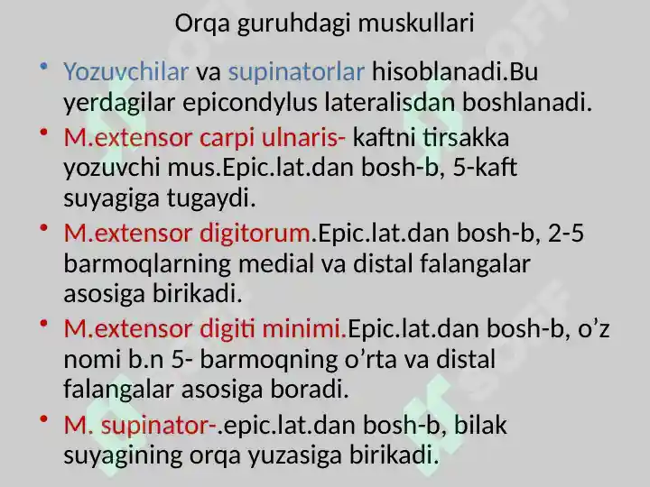 Product slide 8