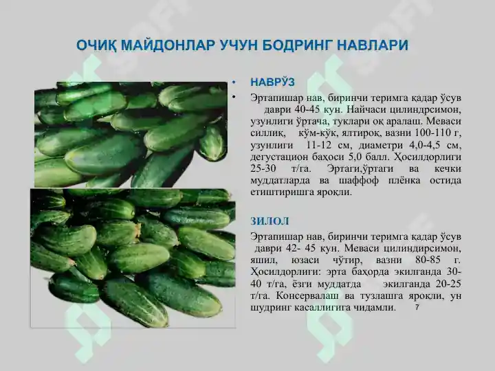 Product slide 7