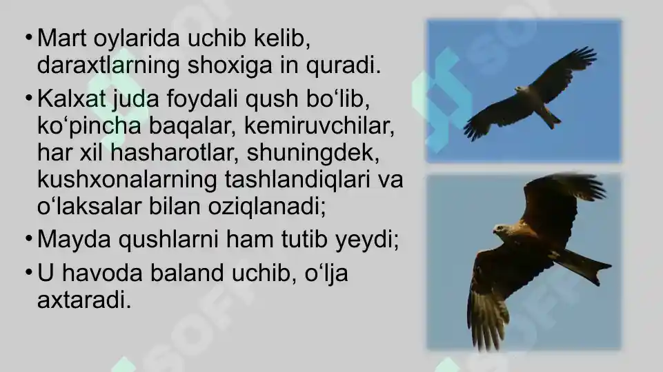Product slide 8