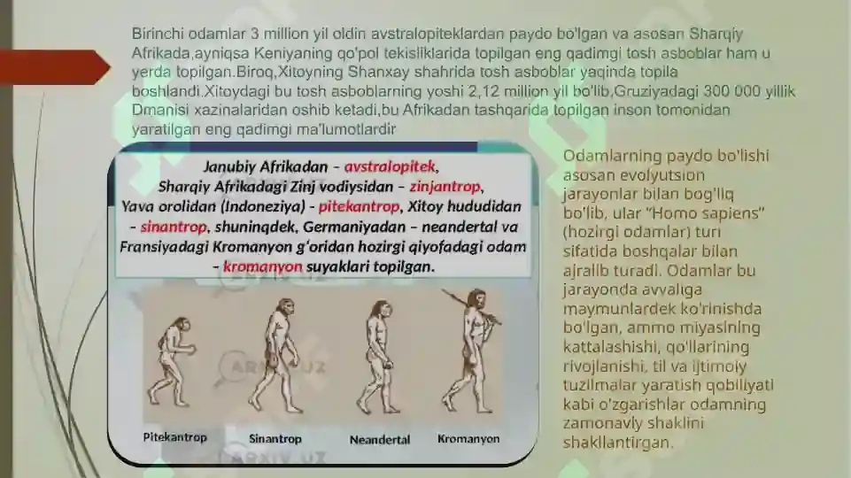Product slide 7