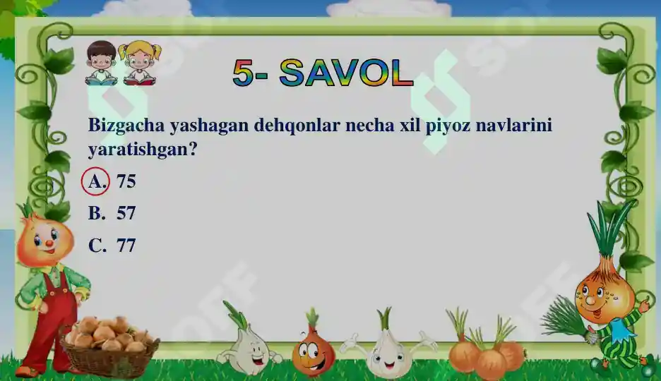 Product slide 7